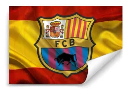 fototapeta-fc-barcelona-04-368x254-sypialnia-salon