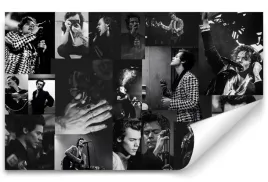 fototapeta-harry-styles-01-416x254-sypialnia-salon