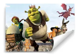 fototapeta-shrek-04-368x254-sypialnia-salon