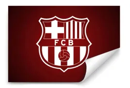 fototapeta-fc-barcelona-06-152x104-sypialnia-salon
