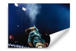 fototapeta-harry-styles-03-254x184-sypialnia-salon