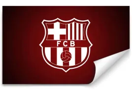 fototapeta-fc-barcelona-06-416x254-sypialnia-salon