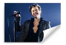 fototapeta-harry-styles-05-368x254-sypialnia-salon