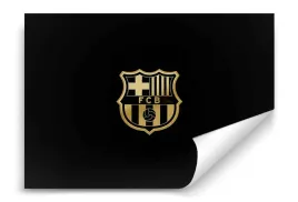 fototapeta-fc-barcelona-05-312x219-sypialnia-salon