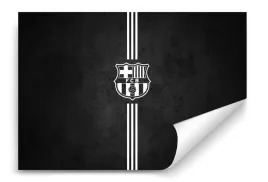 fototapeta-fc-barcelona-03-368x254-sypialnia-salon