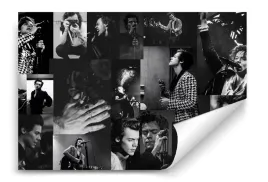 fototapeta-harry-styles-01-368x254-sypialnia-salon