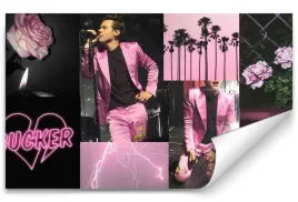 fototapeta-harry-styles-04-416x254-sypialnia-salon