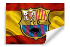 fototapeta-fc-barcelona-04-312x219-sypialnia-salon