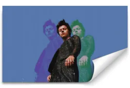 fototapeta-harry-styles-02-na-wymiar-sypialnia