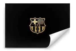 fototapeta-fc-barcelona-05-368x254-sypialnia-salon