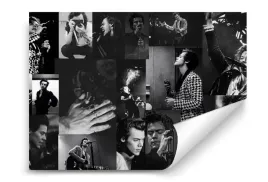 fototapeta-harry-styles-01-254x184-sypialnia-salon