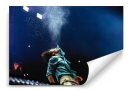 fototapeta-harry-styles-03-368x254-sypialnia-salon