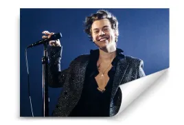 fototapeta-harry-styles-05-254x184-sypialnia-salon