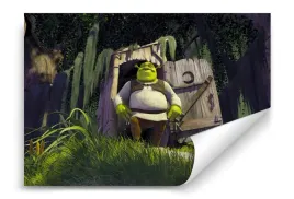 fototapeta-shrek-02-312x219-sypialnia-salon
