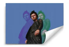 fototapeta-harry-styles-02-312x219-sypialnia-salon