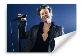 fototapeta-harry-styles-05-312x219-sypialnia-salon