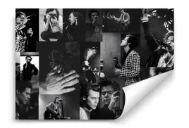 fototapeta-harry-styles-01-312x219-sypialnia-salon