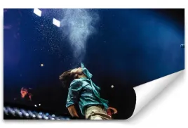 fototapeta-harry-styles-03-416x254-sypialnia-salon