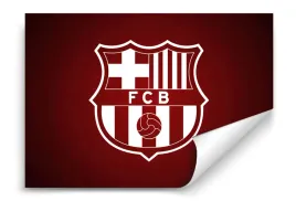 fototapeta-fc-barcelona-06-312x219-sypialnia-salon