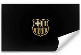 fototapeta-fc-barcelona-05-416x254-sypialnia-salon