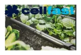 linia-kroplujaca-cellfast-do-nawadniania-50m-stan-nowy-kod-producenta-19-060