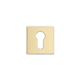 szyld-dolny-rozeta-kwadratowa-zlota-na-wkladke