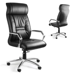 fotel-biurowy-obrotowy-ergonomiczny-skora-celio