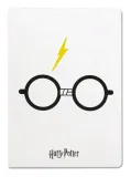 notes-harry-potter-flexi-half-moon-bay