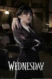 plakat-wednesday-i-raczka-61x915cm-5749