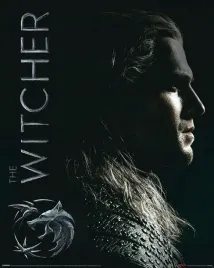 plakat-the-witcher-shadows-wiedzmin-geralt-40x50cm