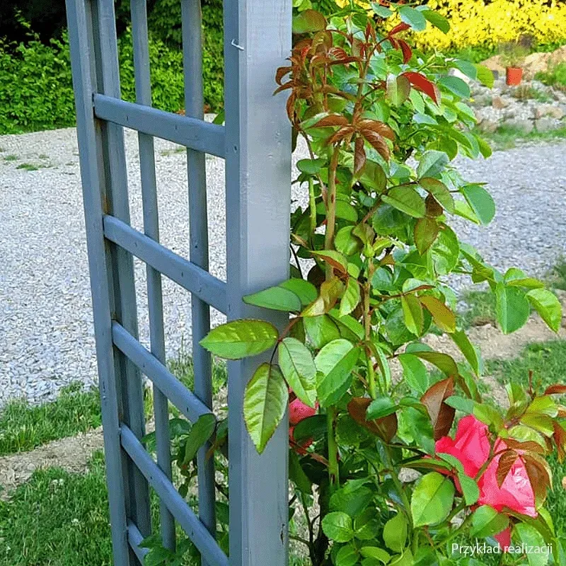 lakierobejca-do-drewna-25l-biala-szybkoschnaca-dragon-stan-nowy