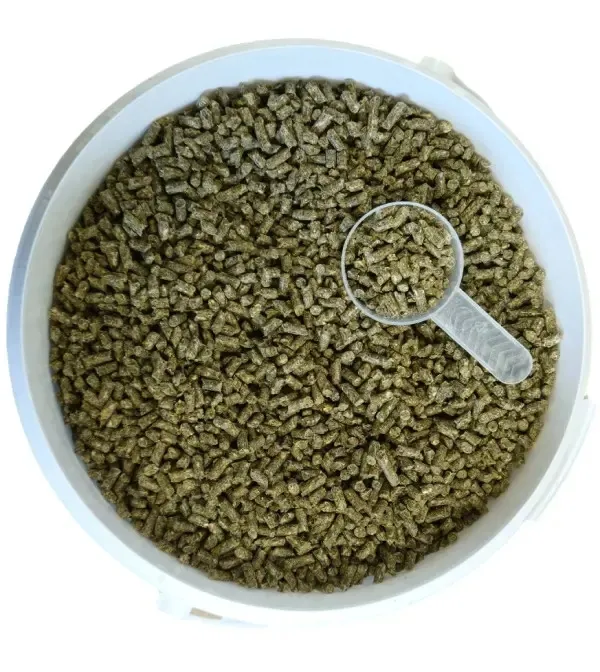 sukces-biotyna-pasza-dla-koni-witaminy