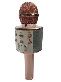 mikrofon-karaoke-dla-dzieci-bezprzewodowy-glosnik-bluetooth-usb-ws858