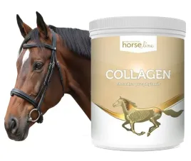 horse-line-pro-collagen-800g-kolagen-stawy-sciegna-regabilitacja-konia
