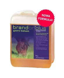 preparat-na-wrzody-st-hippolyt-gastro-balsam-25l-suplement-dla-koni