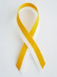 kokardka-kotylion-wstazka-zolto-biala-bialo-zolta