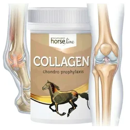 horselinepro-collagen-300g-kolagen-dla-koni-stawy-kopyta-urazy-w