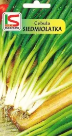 nasiona-cebula-siedmiolatka-kroll-na-szczypior-zimowa-wieloletnia-2g