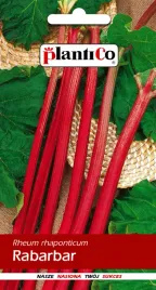 rabarbar-lider-wczesny-intensywny-smak-nasiona-plenny-soczysty-05g