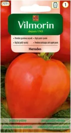 pomidor-herodes-03-g-bawole-serce-owoce-bardzo-duze-nasiona-pomidorow