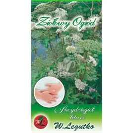 arcydziegiel-litwor-05g-legutko-roslina-wieloletnia-dziala-uspokajajaco