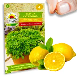 bazylia-cytrynowa-05g-aromatyczna-nasiona-ziola-do-donniczek-caly-rok