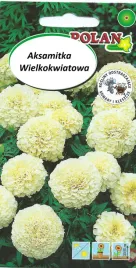 aksamitka-wielkokwiatowa-biala-odstraszajaca-komary-i-kleszcze-05g