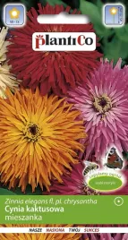 cynia-kaktusowa-mix-1g-nasiona-plantico-mix-kolorow-na-kwiaty-ciete