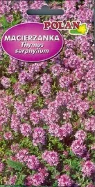 macierzanka-piaskowa-fioletowa-moze-zastapic-trawe-na-skalniaki-i-trawnik