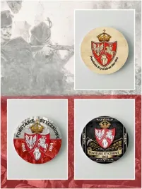 magnes-powstanie-styczniowe-flaga-polski-sredn-56mm