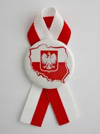 maly-kotylion-narodowy-kokarda-kontur-polski