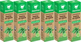 6x-pasta-do-zebow-lagodzaca-z-ekstraktem-z-szalwii-bez-fluoru-dentino-100ml