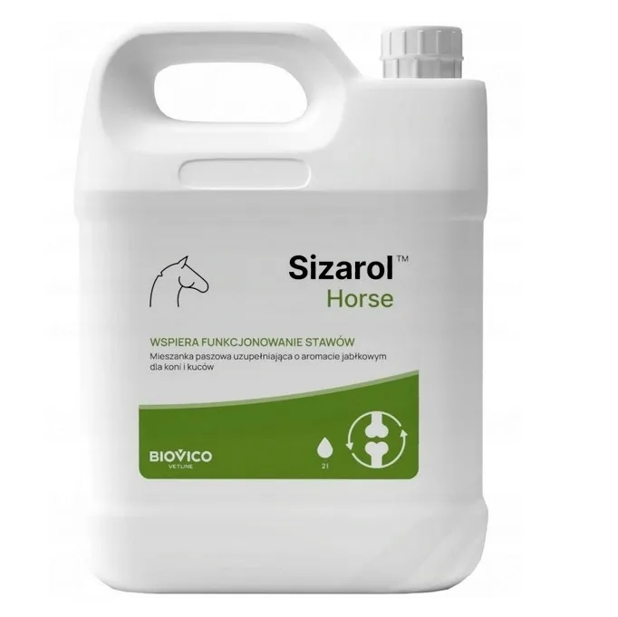 sizarol-complex-horse-2l-breloczek-konik