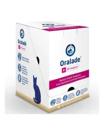 livisto-oralade-rf-support-6-x-330-ml